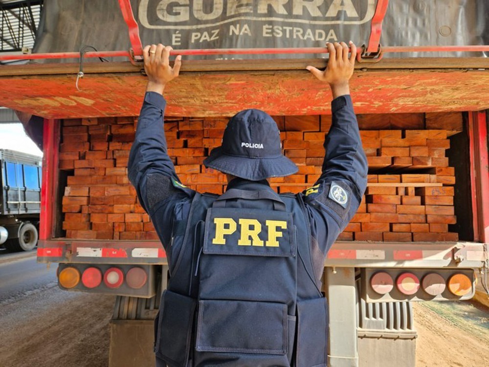 PRF apreende mais de 88m³ de madeira irregular em Rondônia